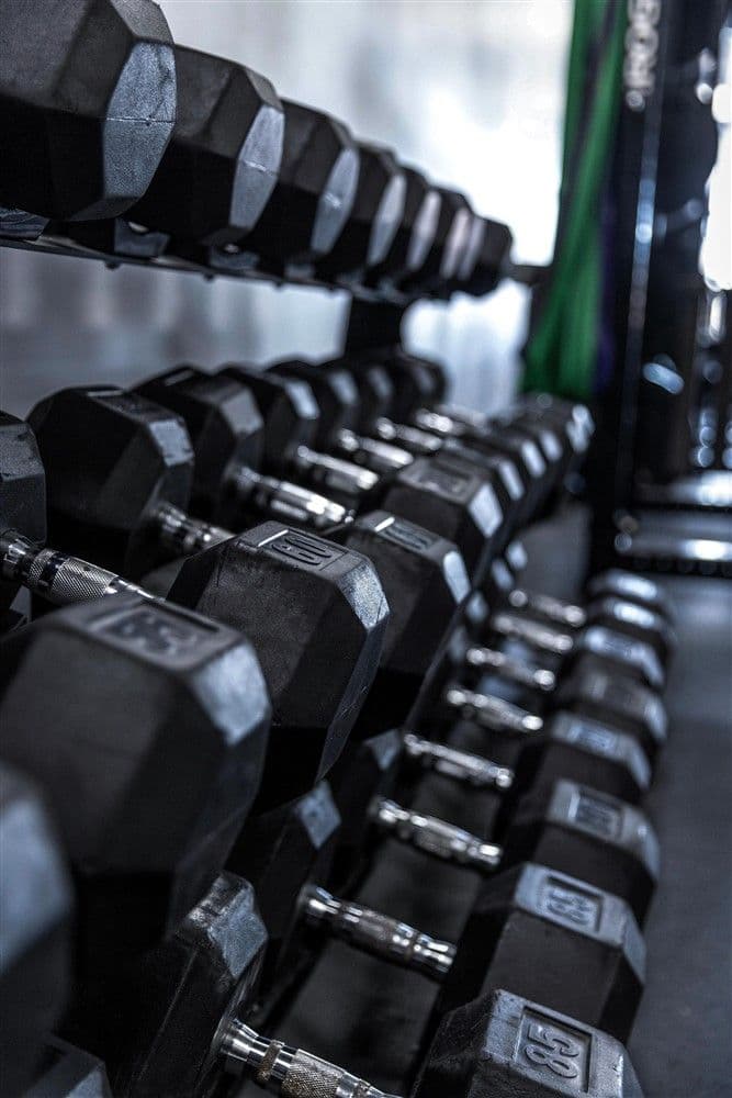 Track and Field Throws: The Strength, Power, and Mechanics Behind Every Event
